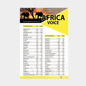Affiche Africa voice