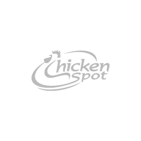 Logo Chicken Spot